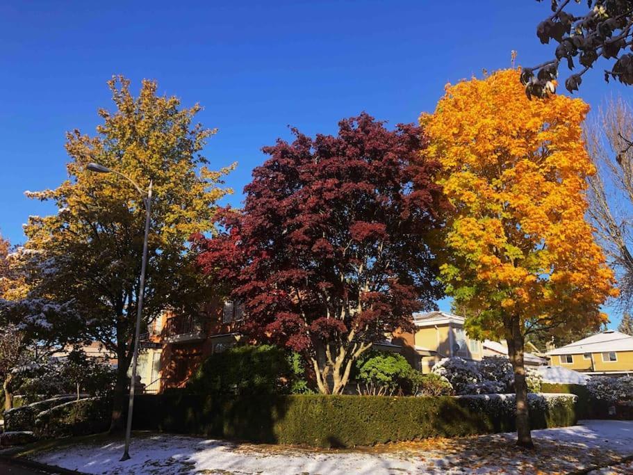Super Cosy 8Bed & 6Bath In Vancouver Heart Near To Airport And Downtown 外观 照片